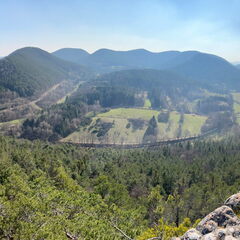 23-03-01 13-10-45 4522